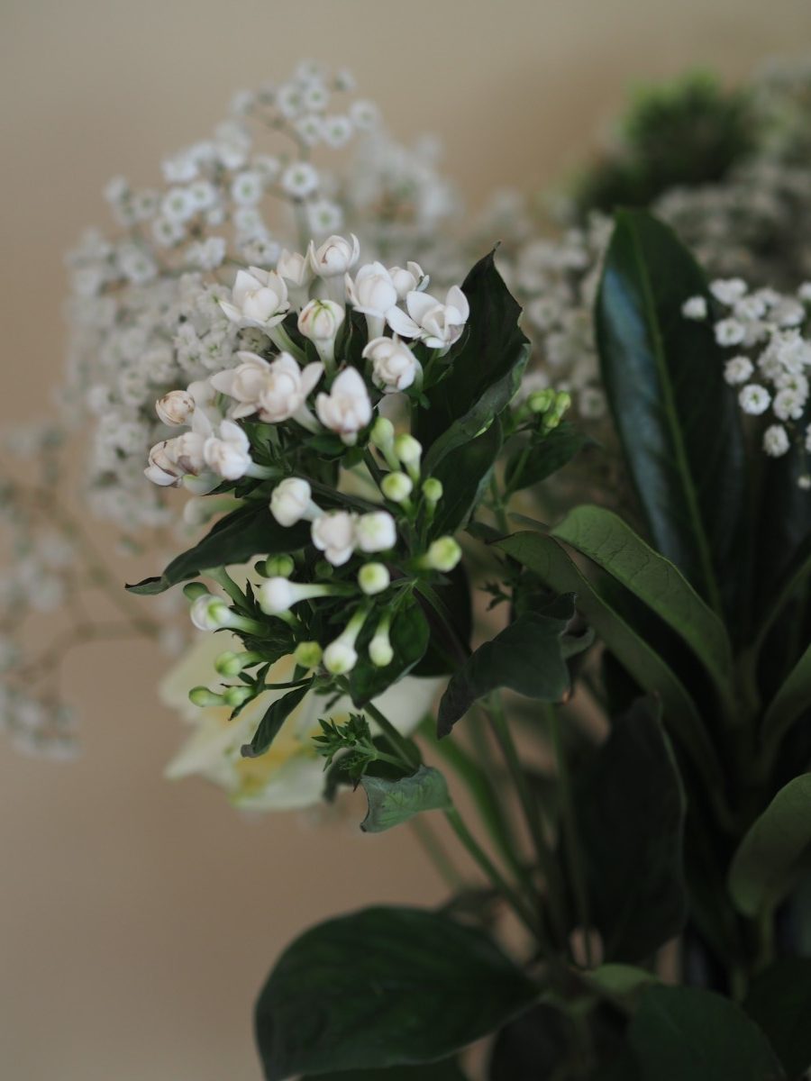 Freddie's Flowers, not just another subscription box Loved by Elena