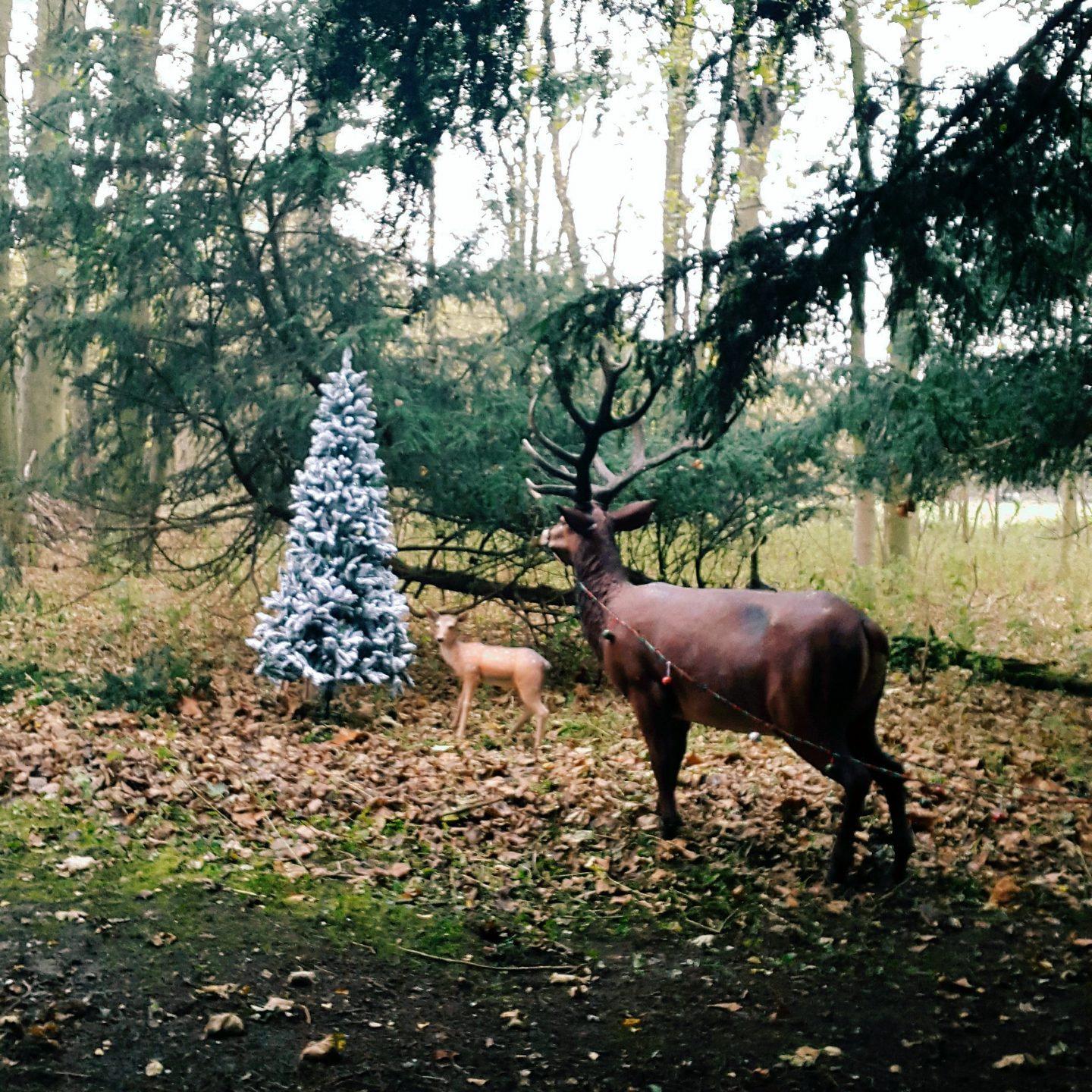 Audley End Miniature Railway