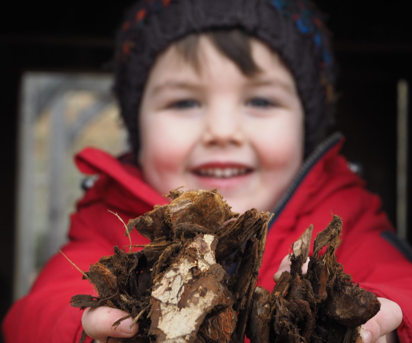 My Sunday Photo 06.03.16