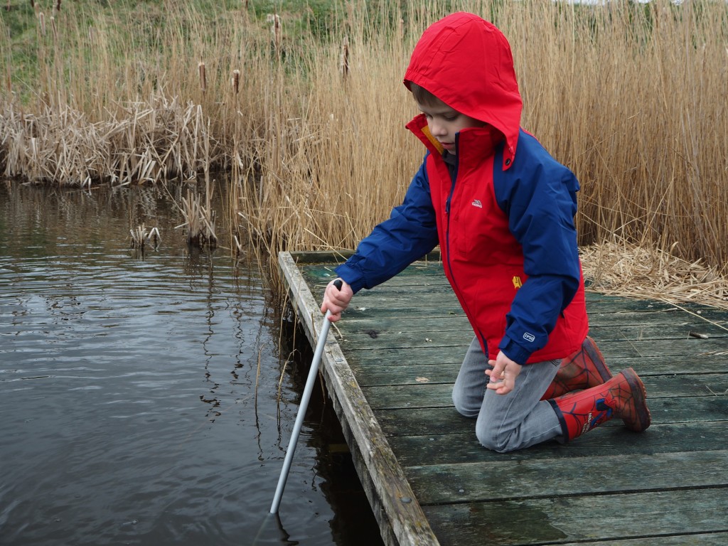 Born to be wild book