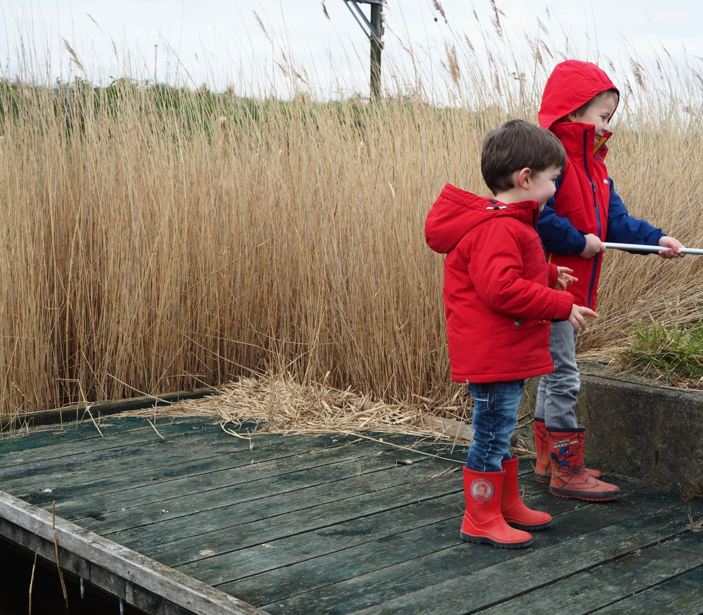 Born to be wild book