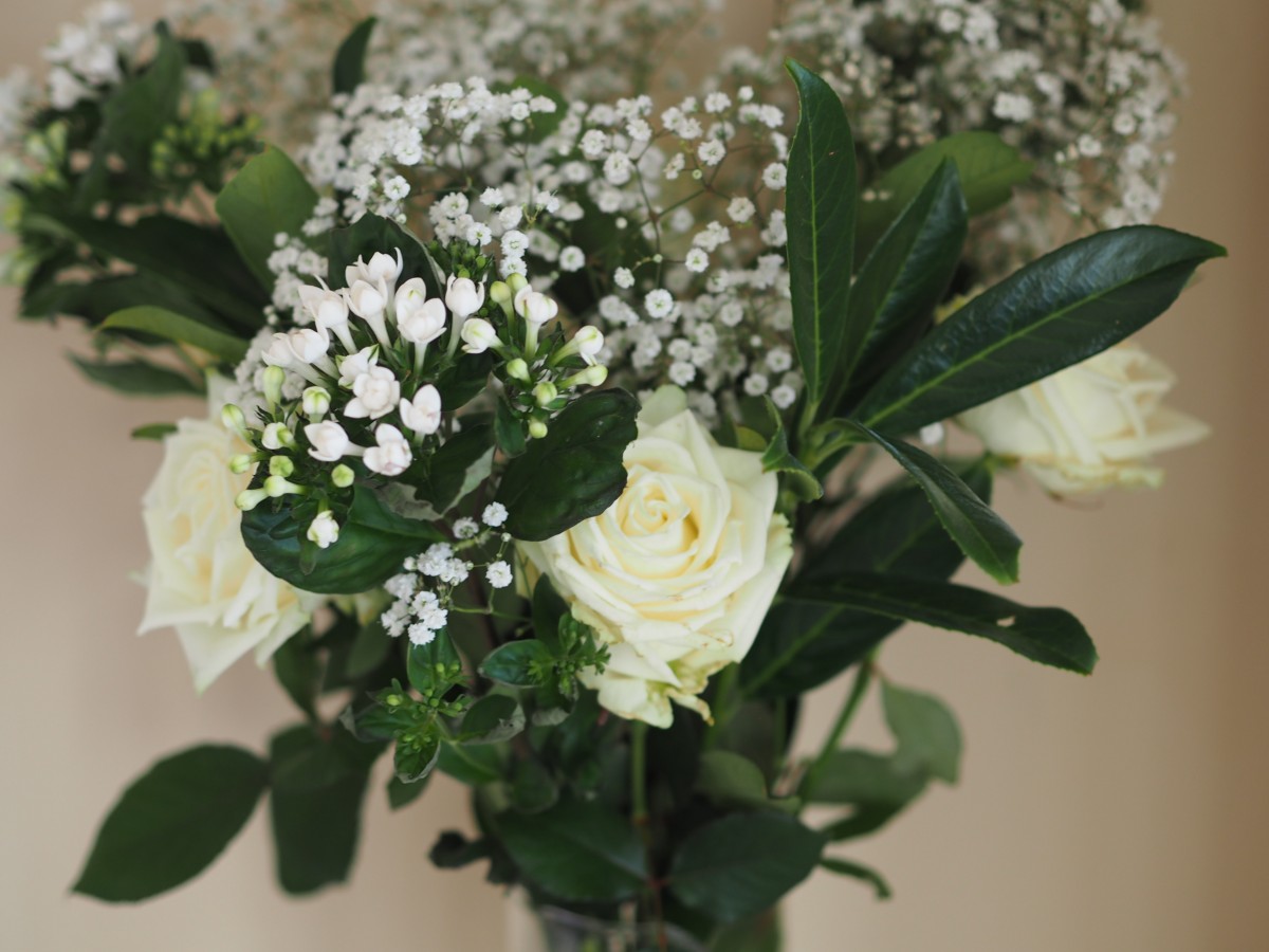 Freddie's Flowers, not just another subscription box Loved by Elena