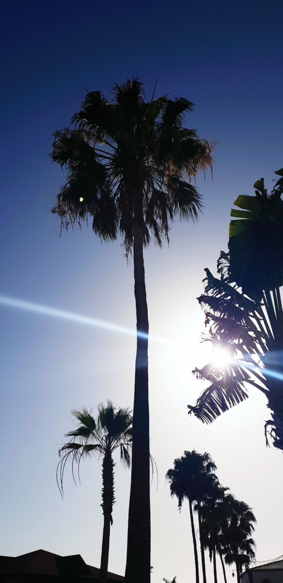 Sunlight Bahia Principe Tenerife